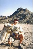 ������ � ���������