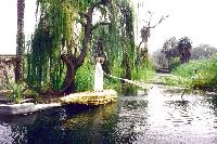 ������� ��������