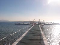 ���� 13, ������� ��������� � ������ ����� ���