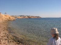 ���� 14, ������� ��������� � ������ ����� ���