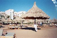 ���� �����