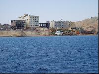 ����� "King Tut" ��� � ����