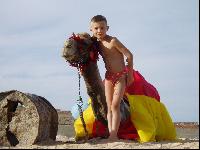 ������� ������� "Oskar"