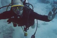 ����-��� ���� ���������