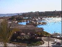 ���������� �����!