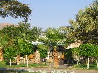 ������� ������ ����� ������