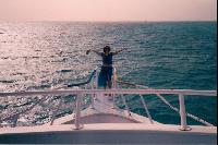 ����� �������:)