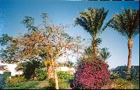 ������ � �����