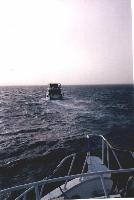 ���! ��� �������!!!!