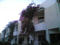 ��� ������