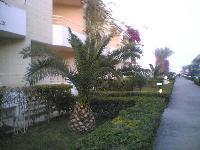 ��������������