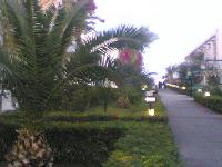 ����� ������� �� ����