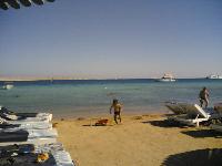 ����� ����