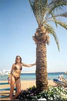 ���� � ������, ��������