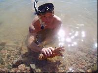 ������ �� �����?