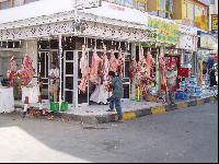 ������ �����