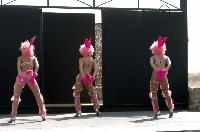 �������� � �axim Plaza