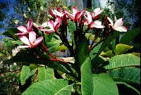 ����� �� ���������� �����