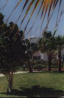 ���������� �����