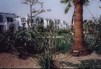 ���������� ����� ���2