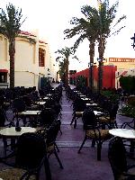 ������ ���� ���������