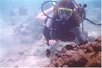 ���� � ������, ��������