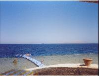 � �������