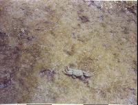 ����� � ������ ������ ���� �� ����� �����