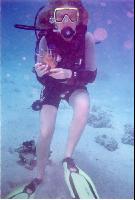 ���� � ������, ��������