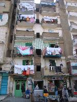 ����������� 2005