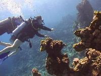 ����������2