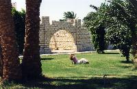 � ������������ ��������