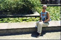 ����� ��������� �����