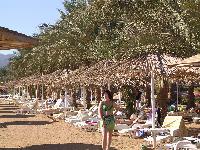 �� �����