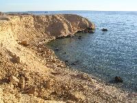 ���� ����� �����