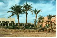 ��� ������