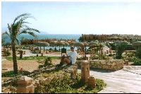 � ����� ����� ����...