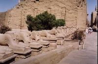 ���������� �����