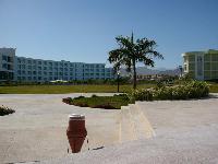 ���� ���