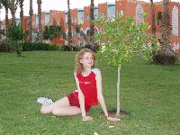 ���� ����� ����� ���� ������