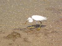 ����-�����