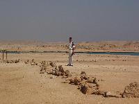 ��� �������