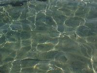 ����� ���� ������