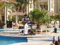 ����� ����� �����