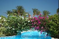 ������ ����� �������