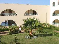 ������ ������