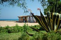 ����� ��������