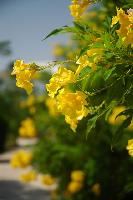 ������ ����� ...