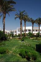 �� ���������� ����� ...