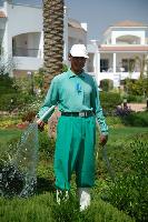 ������� ��������